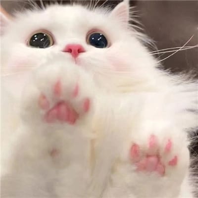 ندیم فاروق avatar