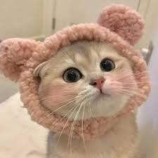 عائشہ بٹ avatar